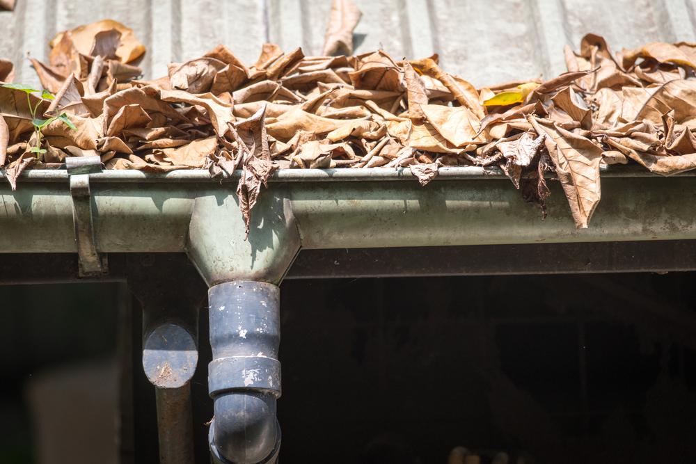 gutter, hill country insulation, texas